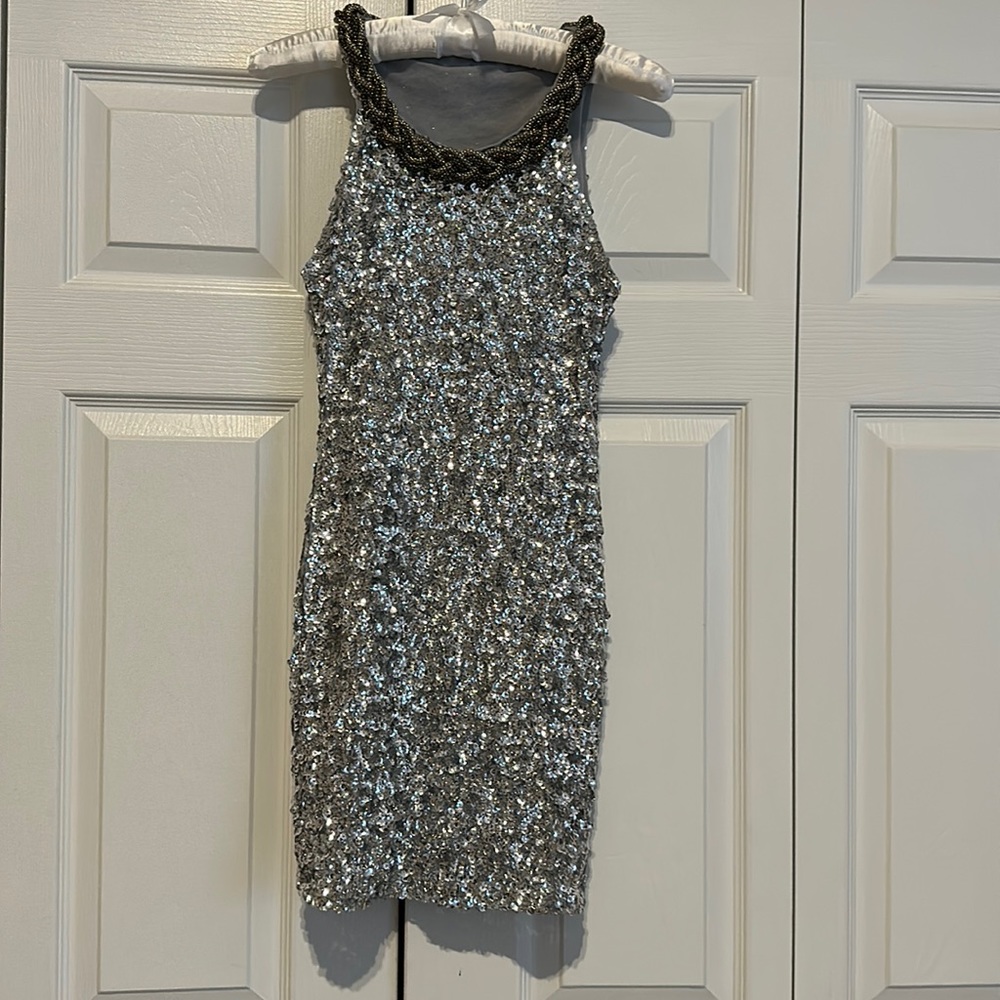 SEQUINS! NWOT Sleeveless, silver, sequin dress. Embellished collar. GORGEOUS!